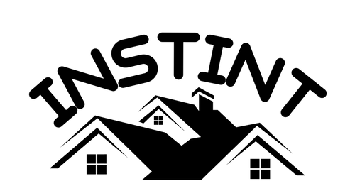 INSTINT